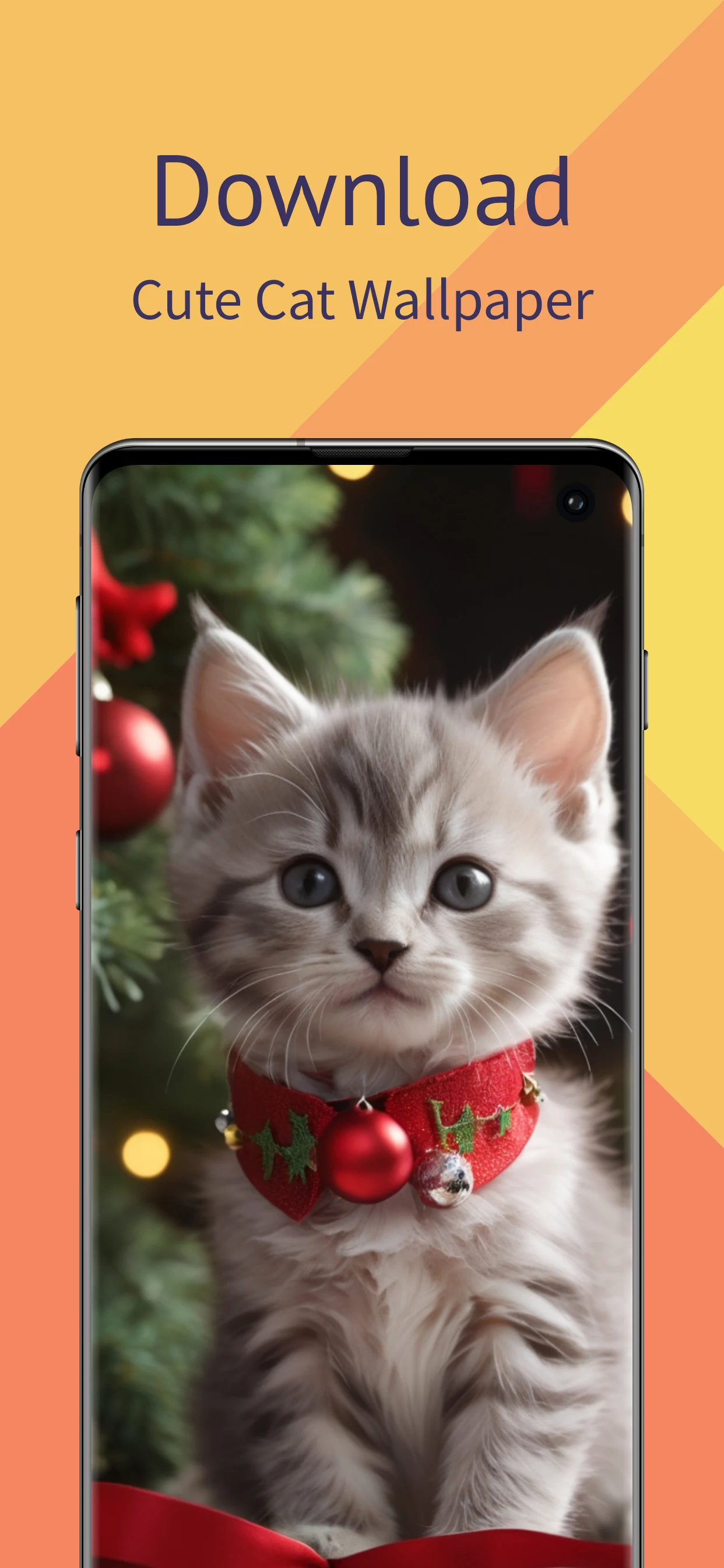 Cute Cat Wallpaper HD screenshot