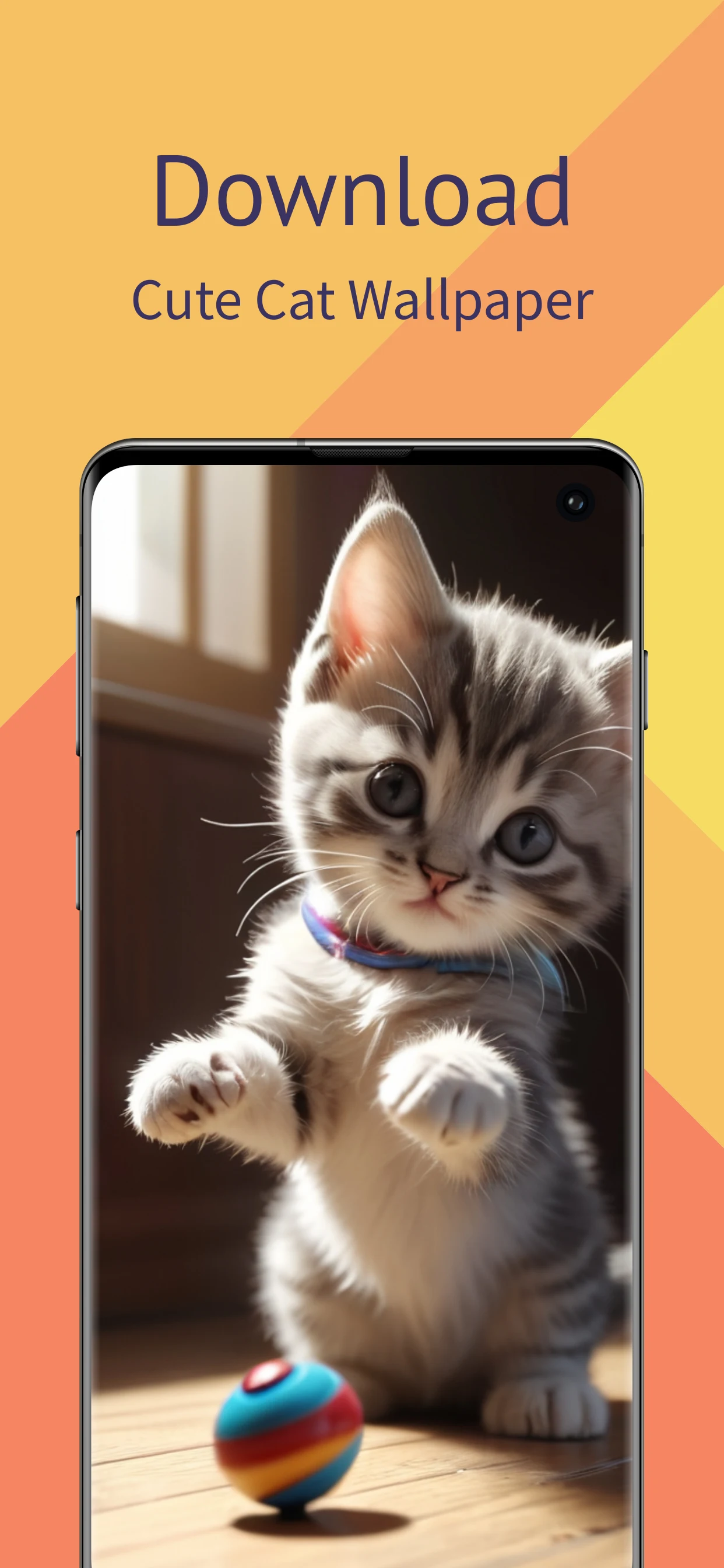 Cute Cat Wallpaper HD screenshot